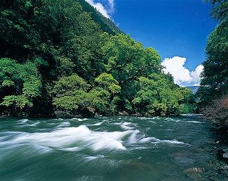 潜行动作《伪信号(Fake Signals)》发售日公布，中文DEMO现可免费下载